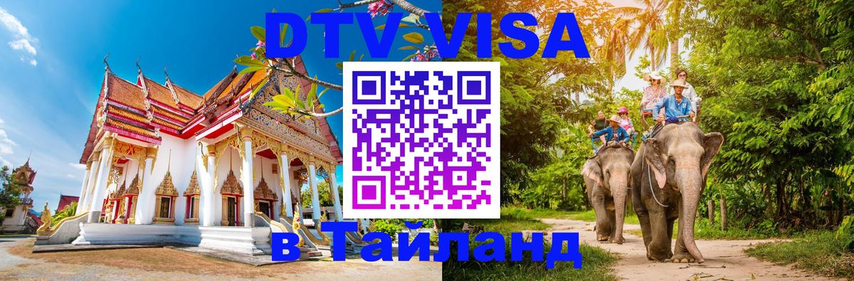 Оформление DTV визы под ключ: стоимость и тарифы, только загранпаспорт - 